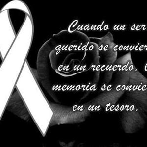 Meet your Posher, Erik